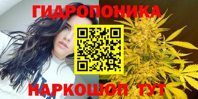 кокс Бузулук