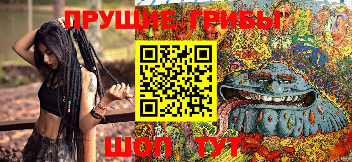 Галлюциногенные грибы Magic Shrooms  Галлюциногенные грибы Psilocybe  Вход с VPN  Сосновый Бор 